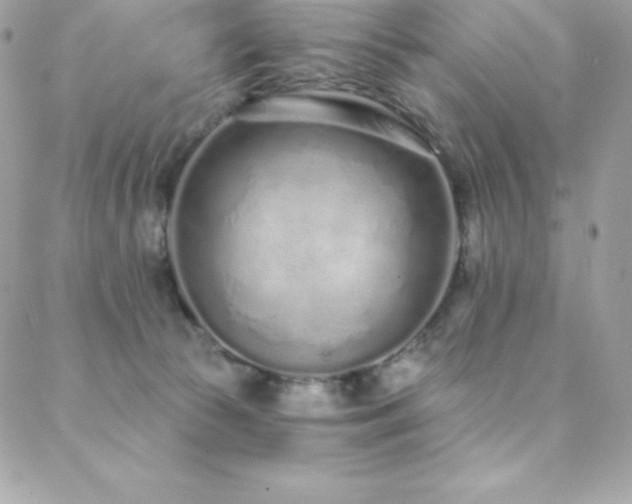 X0000088840177200706071429