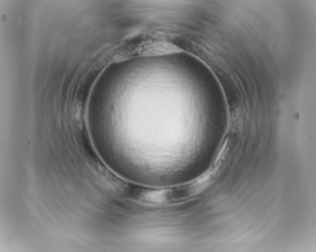 X0000088840178200706071429