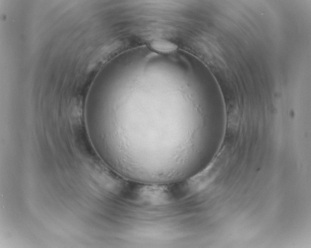 X0000088840179200706071429