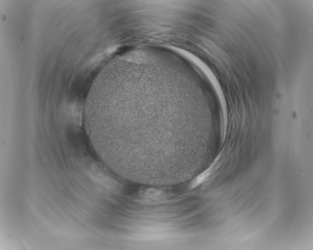 X0000088840180200706071429