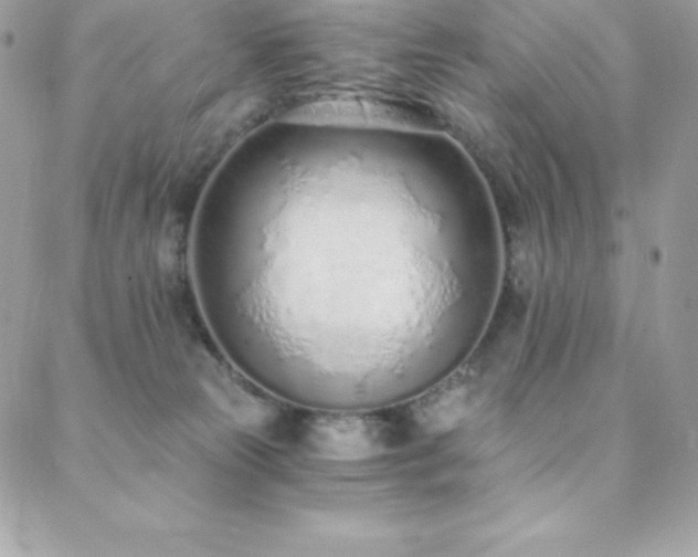 X0000088840181200706071429