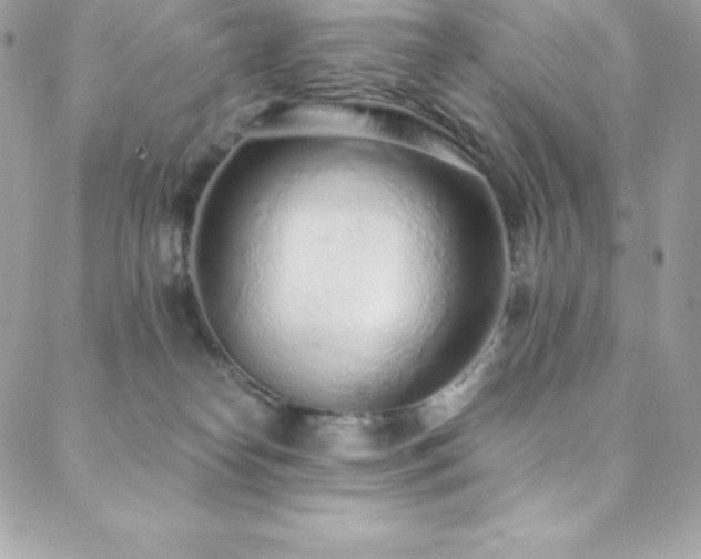 X0000088840182200706071429