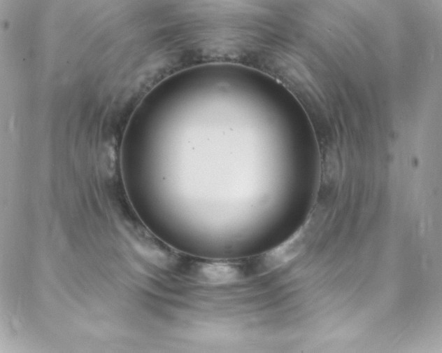 X0000088840183200706071429