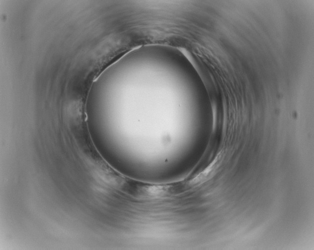 X0000088840184200706071429