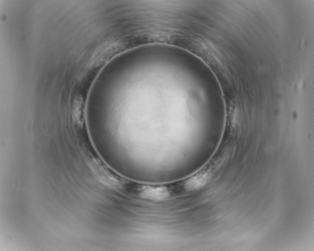 X0000088840185200706071429