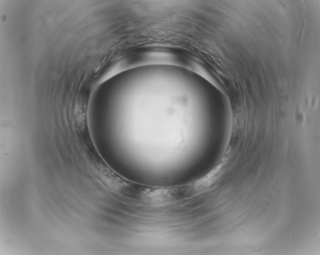 X0000088840186200706071429