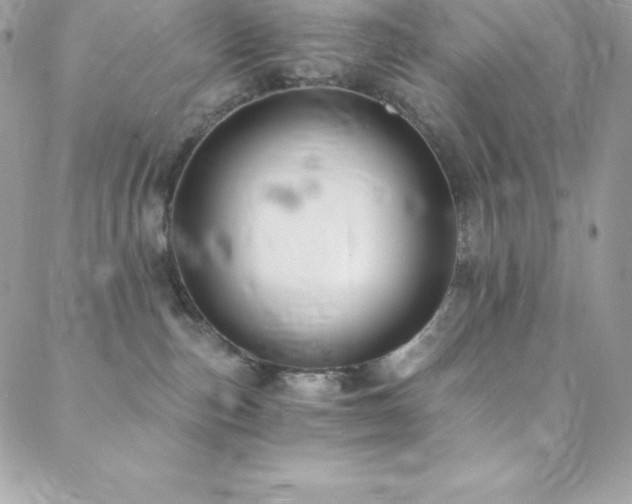 X0000088840187200706071429