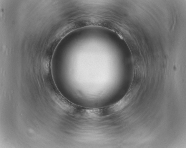 X0000088840188200706071429