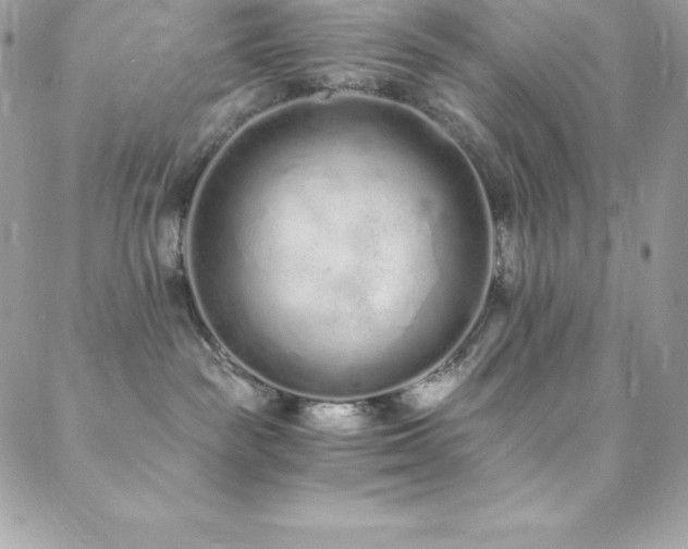 X0000088840189200706071429