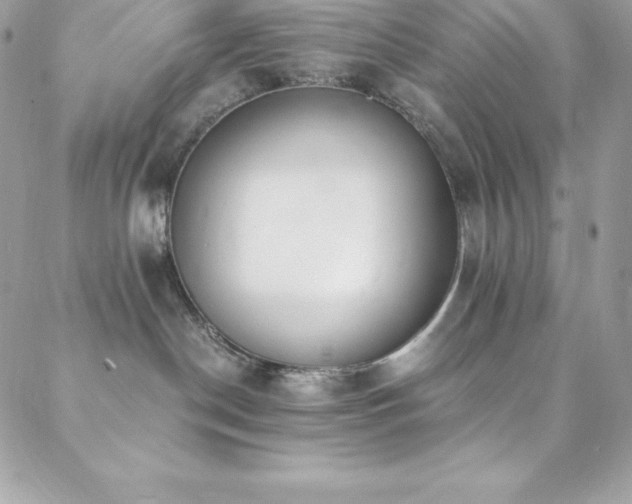 X0000088840190200706071429