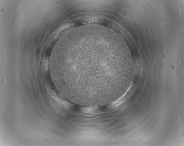 X0000088840191200706071429