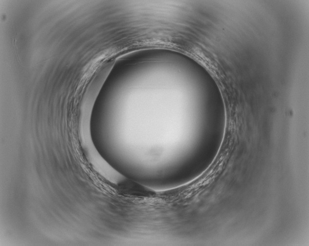 X0000088840193200706071428