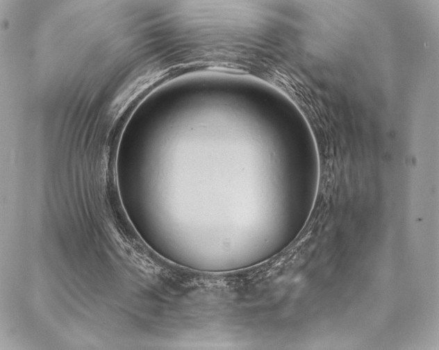 X0000088840194200706071428