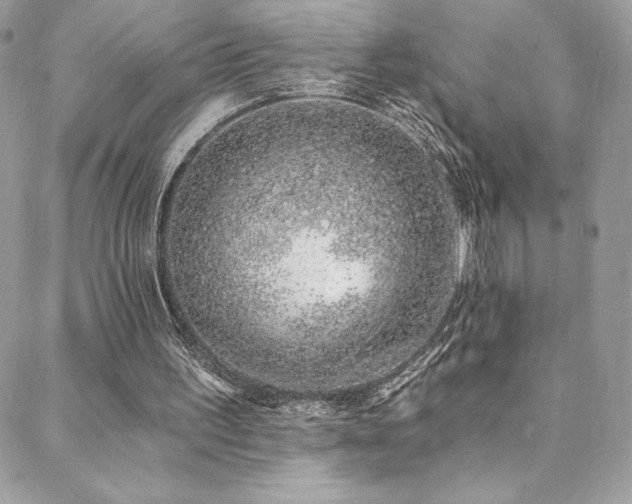 X0000088840195200706071428