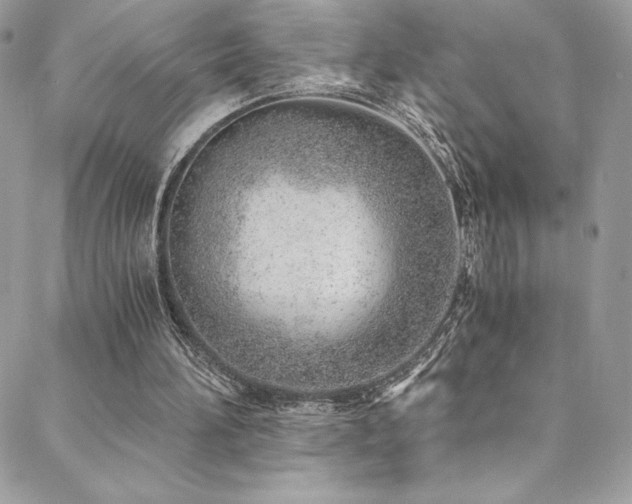 X0000088840196200706071428