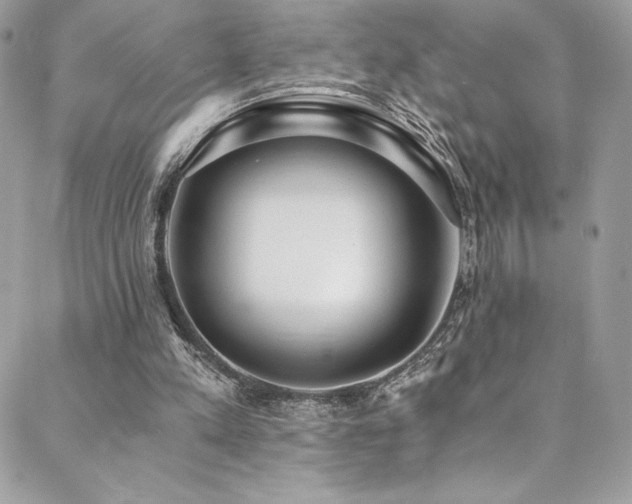 X0000088840197200706071428