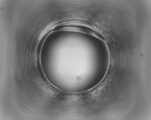 X0000088840198200706071428