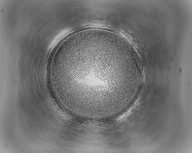 X0000088840199200706071428