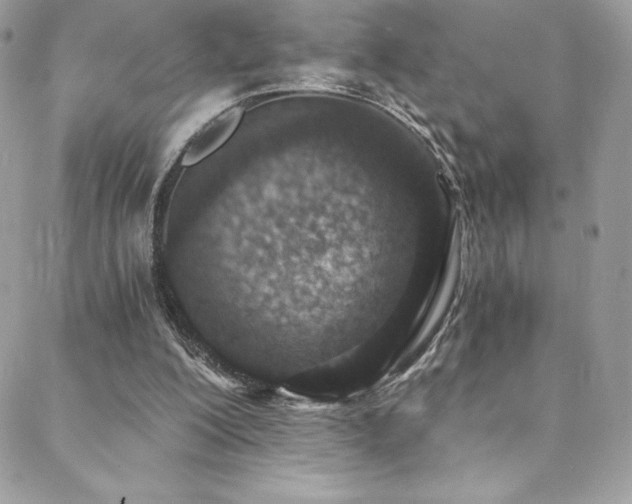 X0000088840200200706071428