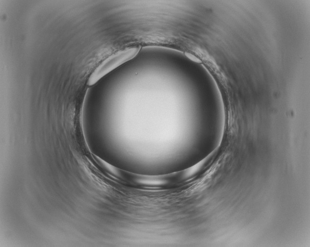 X0000088840201200706071428