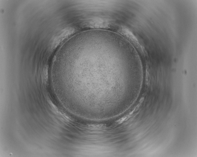 X0000088840202200706071428