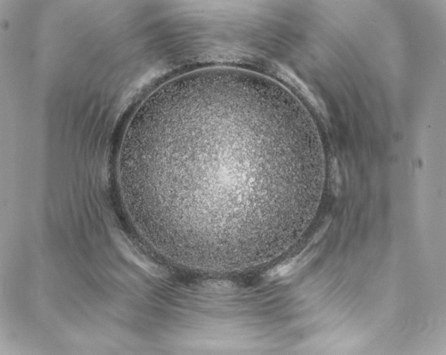 X0000088840203200706071428