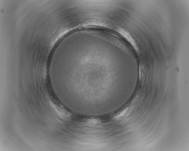 X0000088840204200706071428