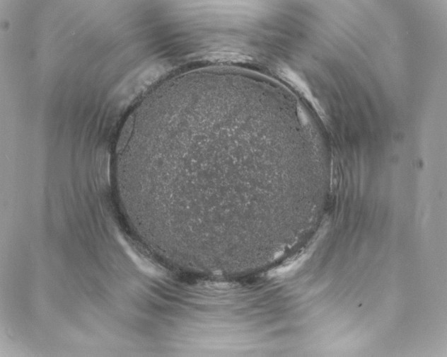 X0000088840205200706071428