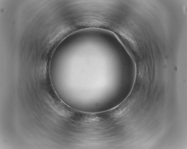 X0000088840206200706071428