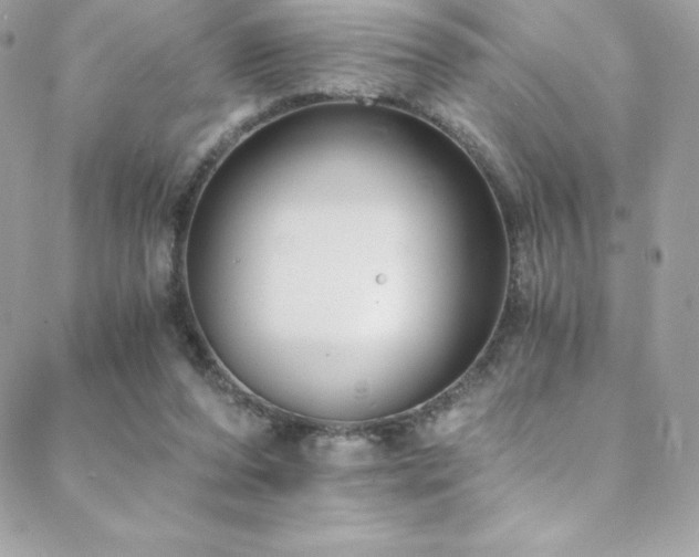 X0000088840208200706071428