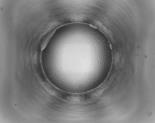 X0000088840209200706071428