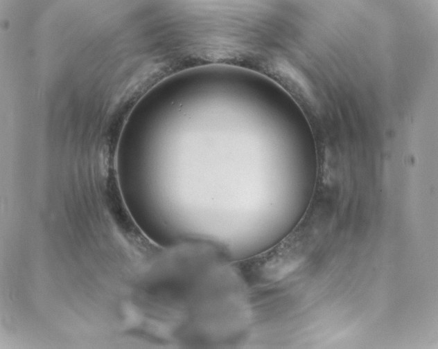 X0000088840210200706071428