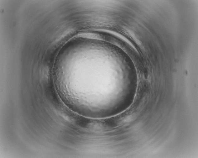 X0000088840211200706071428