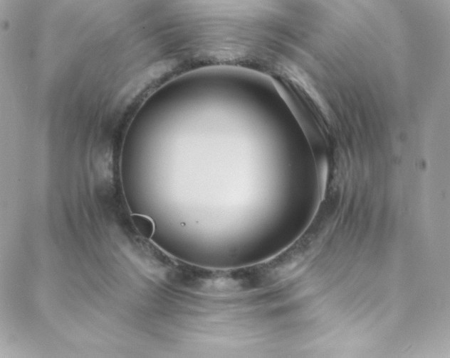 X0000088840212200706071428