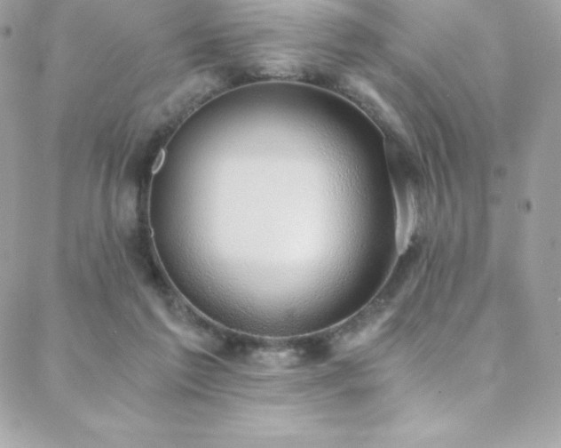 X0000088840213200706071428