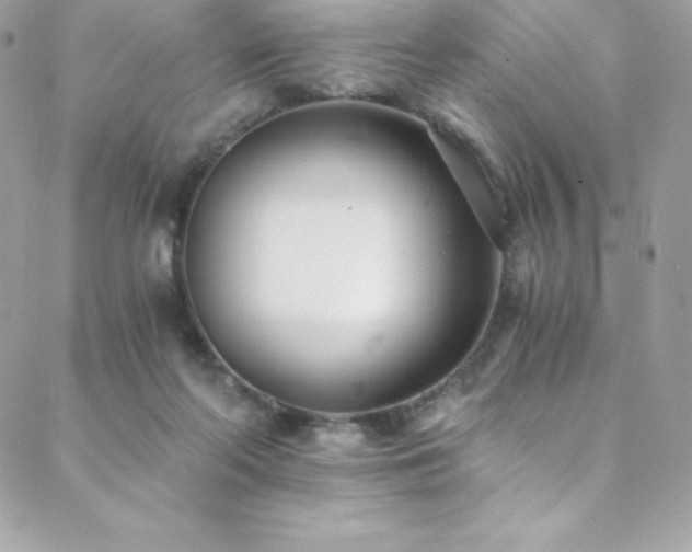 X0000088840214200706071428