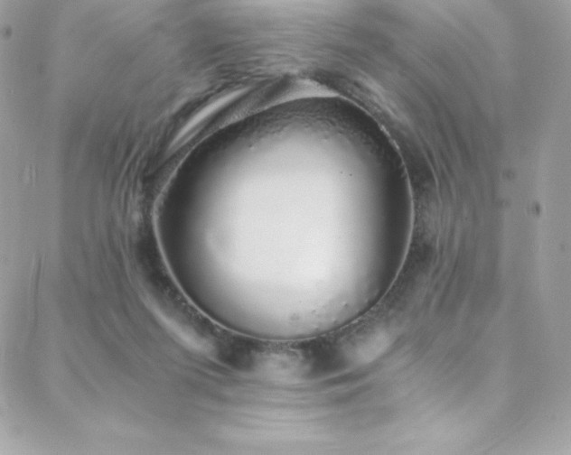 X0000088840215200706071428