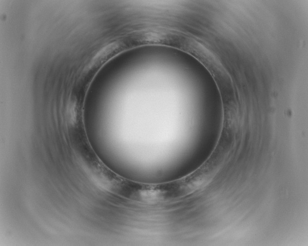 X0000088840216200706071428