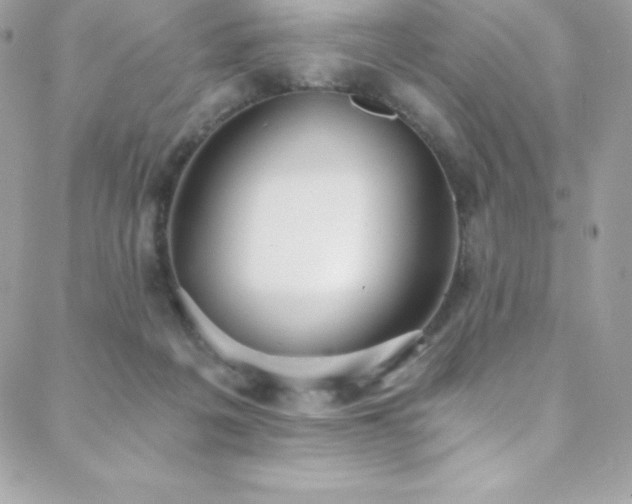 X0000088840217200706071428