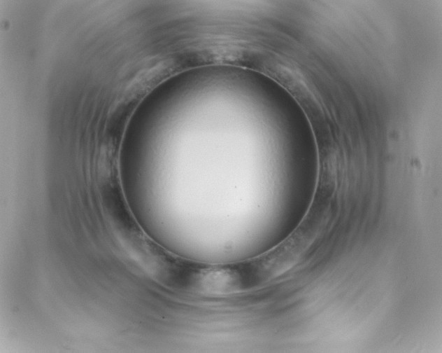 X0000088840218200706071428