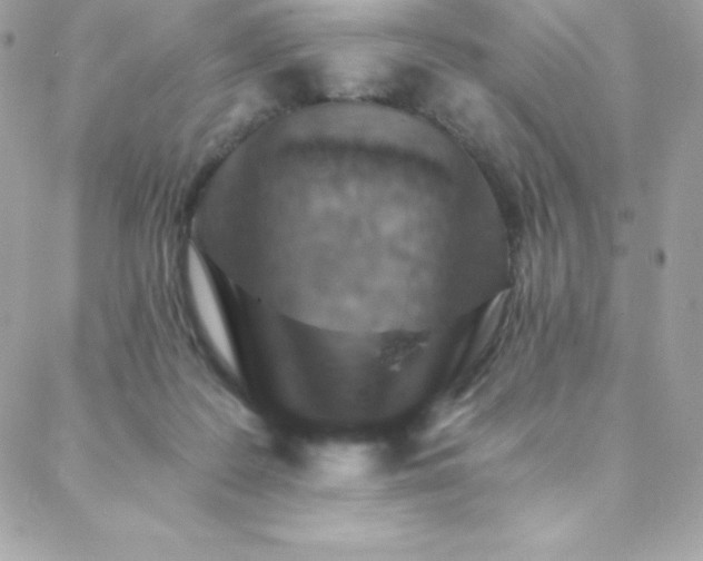 X0000088840219200706071428