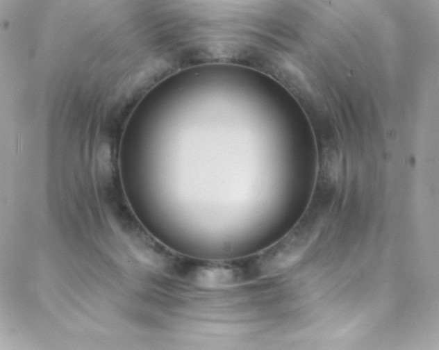 X0000088840220200706071428