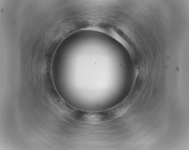 X0000088840221200706071428