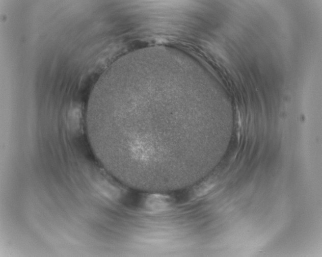 X0000088840222200706071428