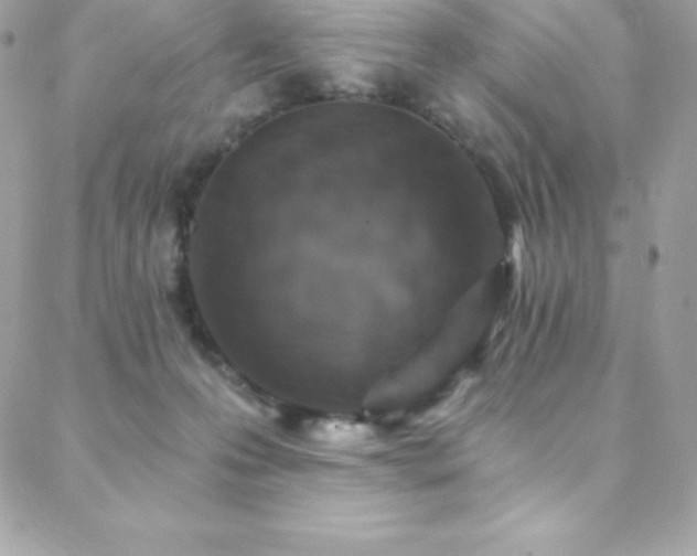 X0000088840223200706071428