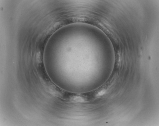 X0000088840224200706071428