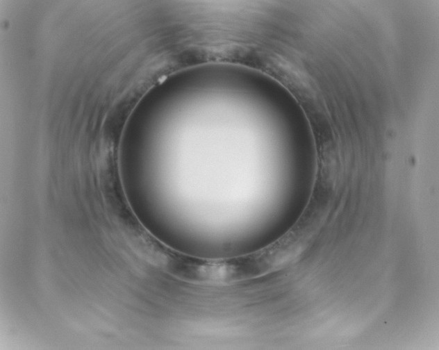 X0000088840225200706071428