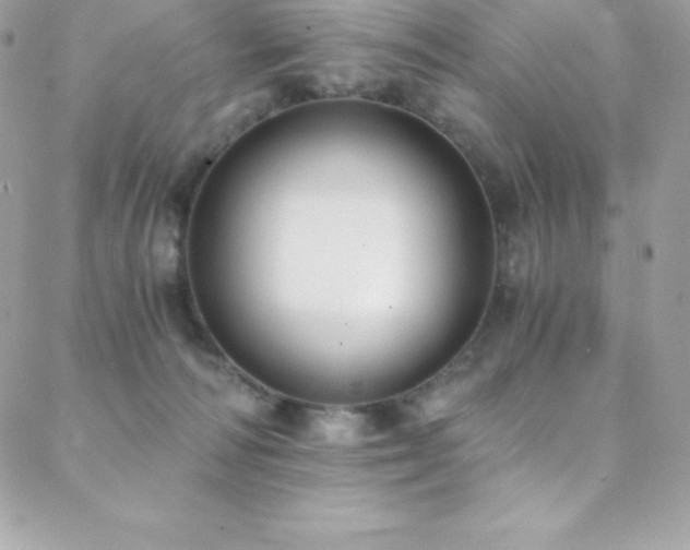 X0000088840226200706071428