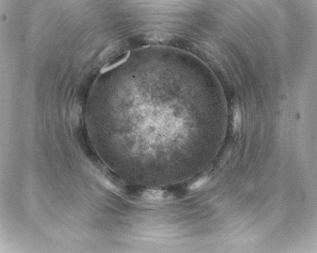 X0000088840227200706071428