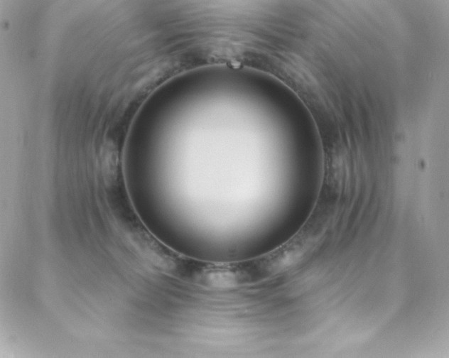 X0000088840228200706071428